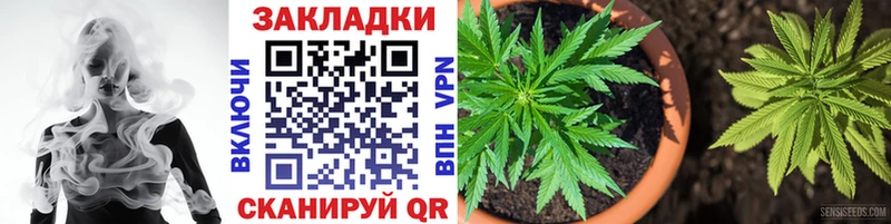 Где купить наркотики Щёлково COCAIN Гашиш СК Канабис